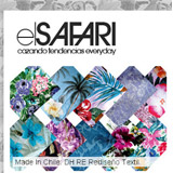 amigos-el-safari