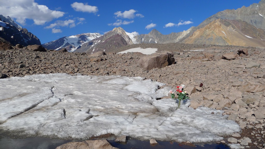 año nuevo cajon (18)