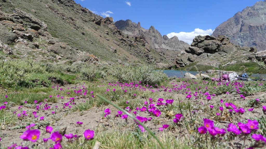 año nuevo cajon (6)