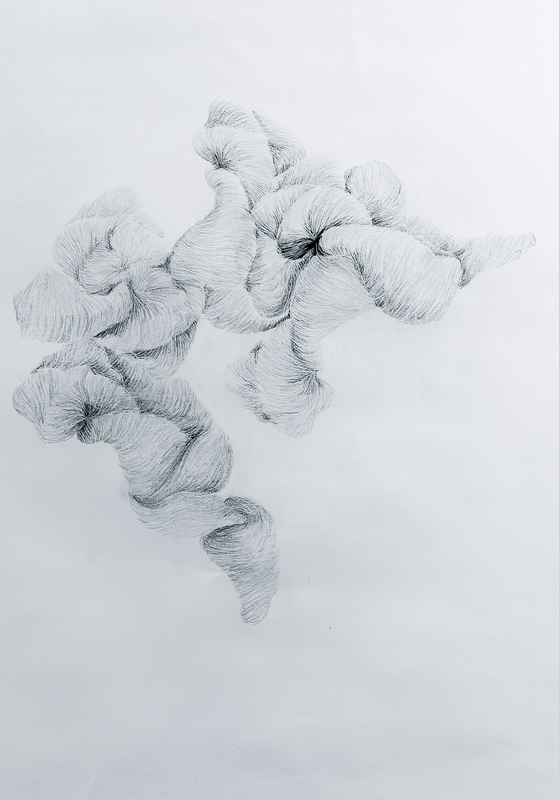 1283091_orig 2