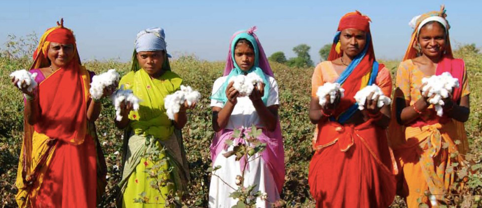 fashion revolution (5)