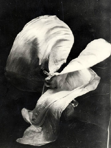 loie-fuller