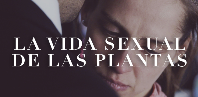 Slideshow_izq_650x320_VSDLP