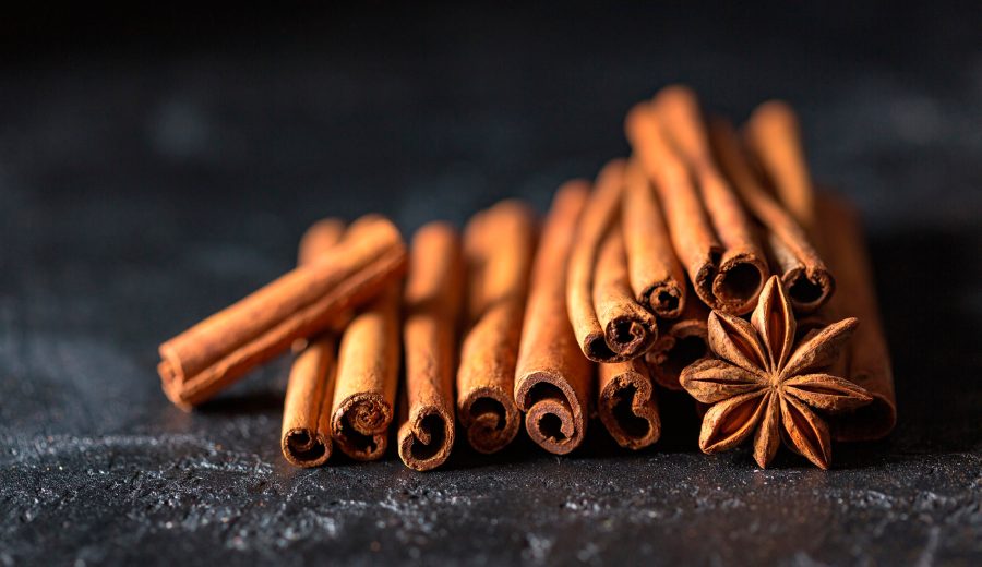CANELA-900x520