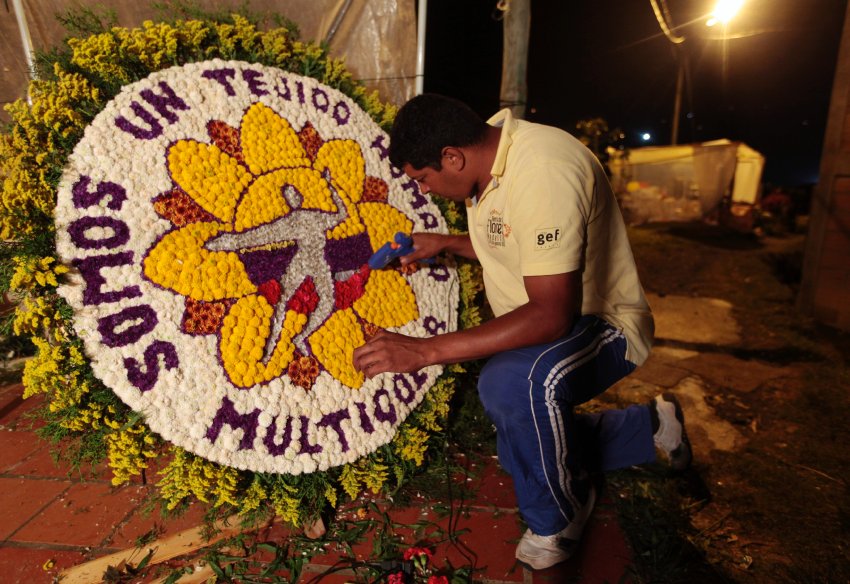 Nelson Zapata, florist prepares a flower arrangement in the town of Santa Elena, a day before the annual flower parade in Medellin August 10, 2013. REUTERS/John Vizcaino (COLOMBIA - Tags: SOCIETY)