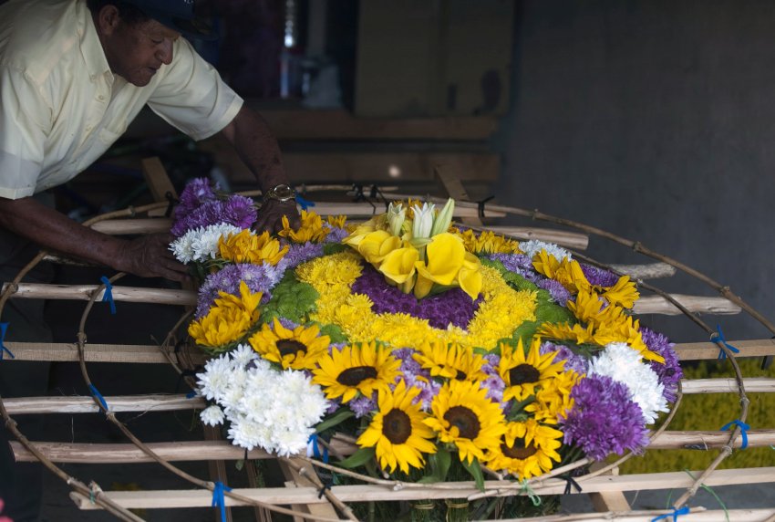 Colombian Jairo Ramirez works in the making of a "Silleta" (a traditional flower arrangement) in a farm in Santa Helena municipality, Antioquia department, Colombia on August 10, 2013, on the eve of the traditional "Silleteros" Parade within the Flower Festival. AFP PHOTO/ Raul ARBOLEDA